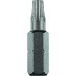 Picture of Security Screwdriver Bit Torx Pin - TZD40x25