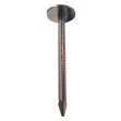 Picture of Washered Masonry Nail Griptorq - 3.5x30
