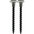 Picture of Drywall Screw Coarse Black Collated Griptorq - 3.5x50